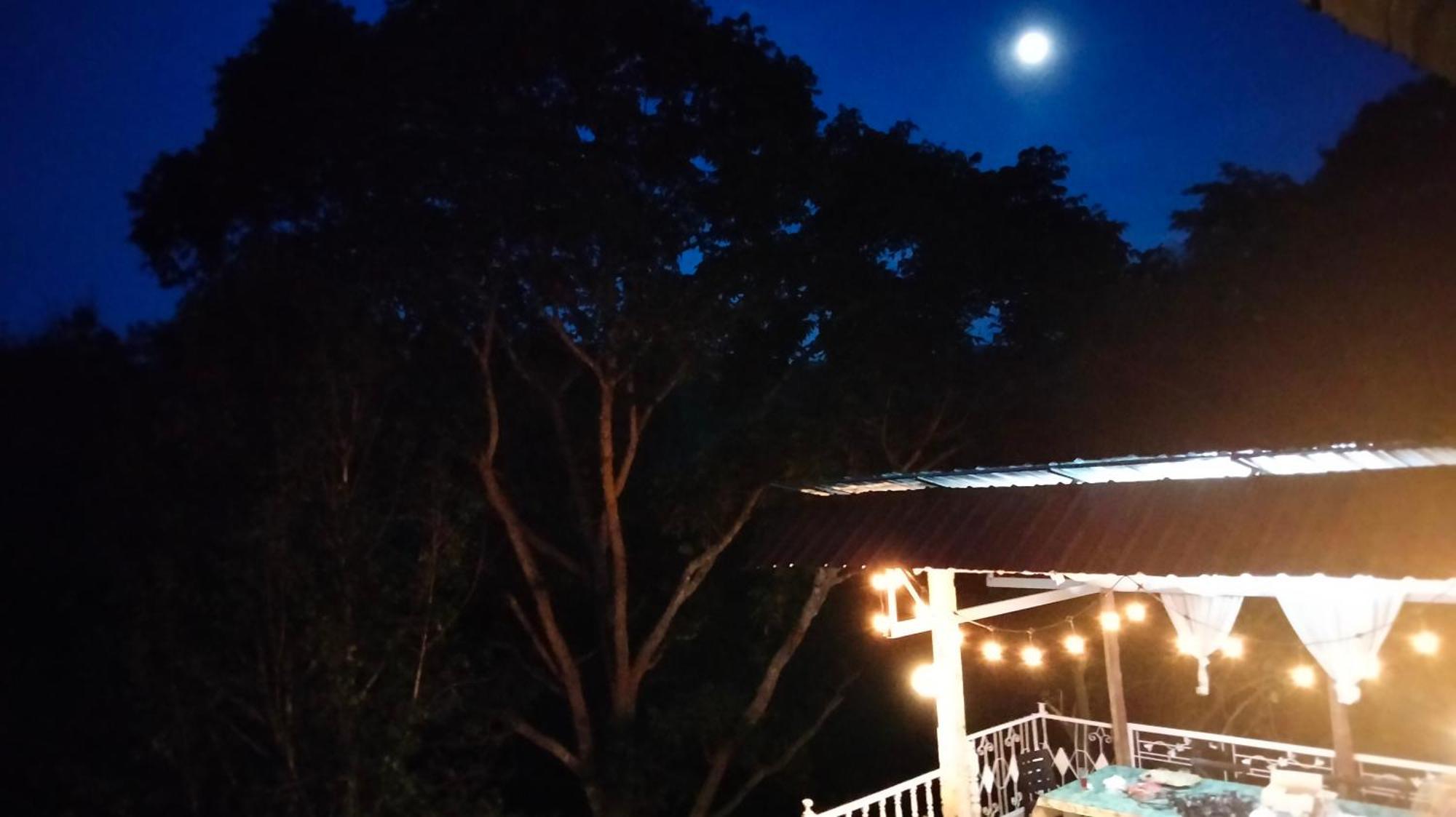 Balmy Hideout Cafe & Homestay Ban Huai Kaeo Екстериор снимка