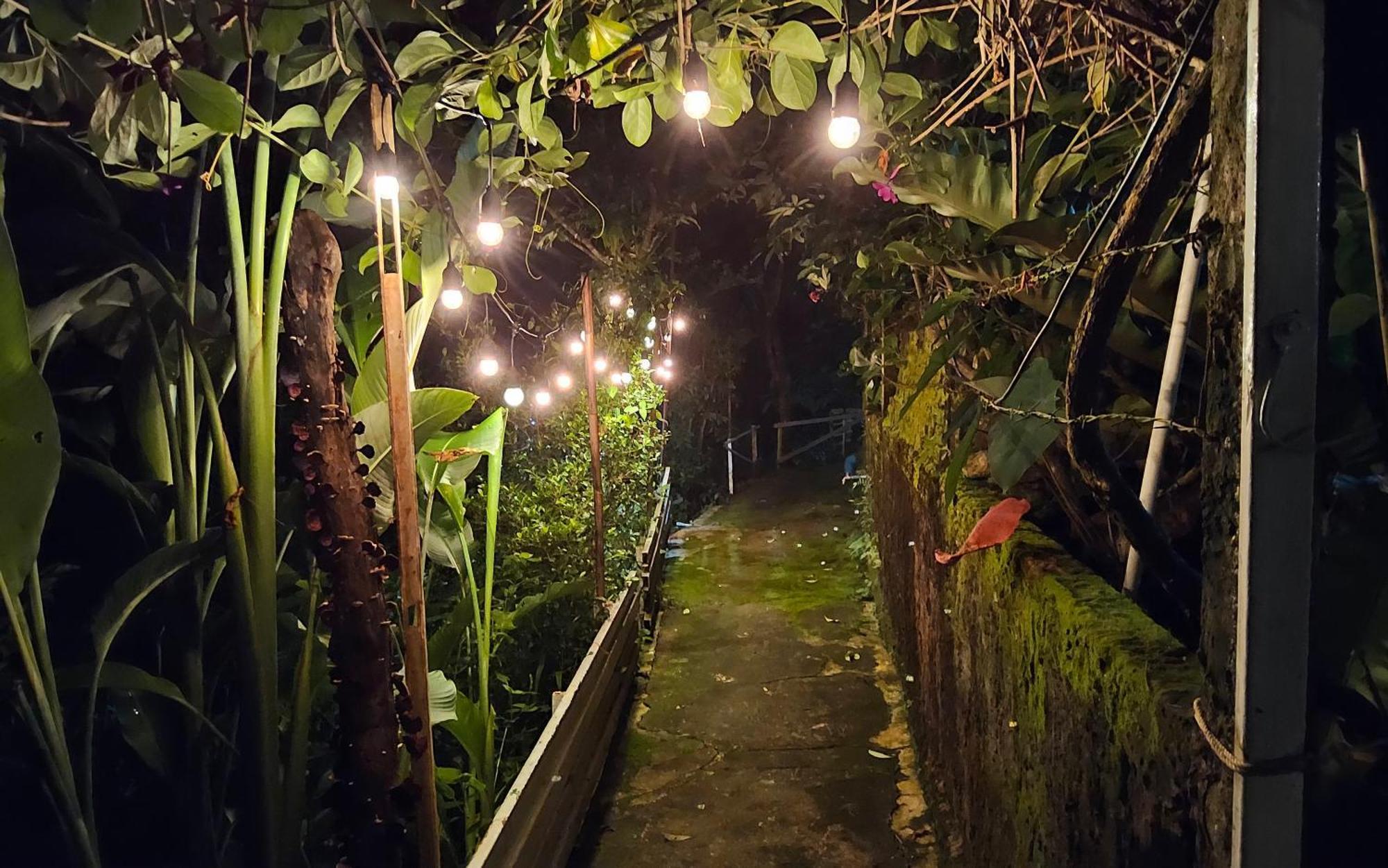 Balmy Hideout Cafe & Homestay Ban Huai Kaeo Екстериор снимка