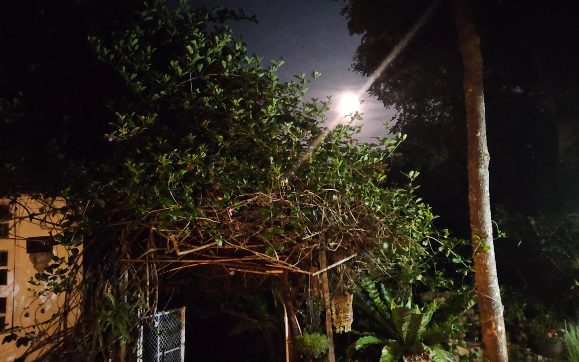 Balmy Hideout Cafe & Homestay Ban Huai Kaeo Екстериор снимка
