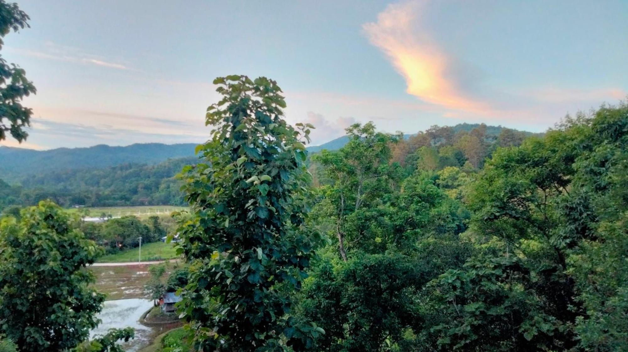 Balmy Hideout Cafe & Homestay Ban Huai Kaeo Екстериор снимка
