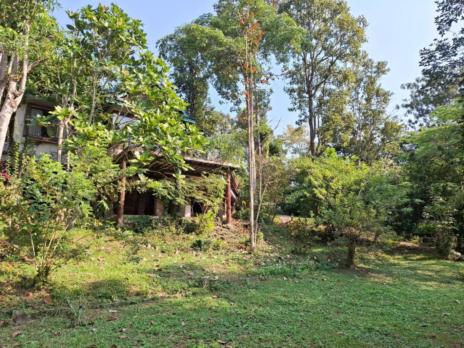 Balmy Hideout Cafe & Homestay Ban Huai Kaeo Екстериор снимка